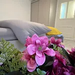 Grey Studio