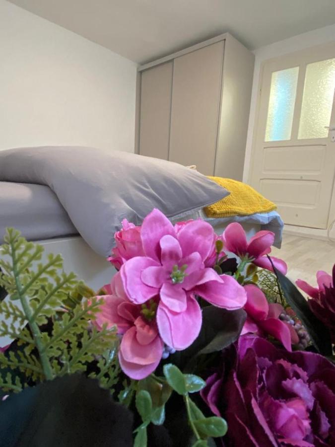 Grey Apartment